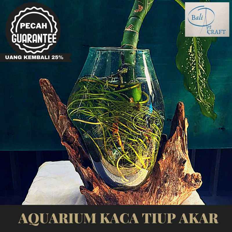 Aquarium Mini Unik Dari Barang Bekas Jual Aquarium Mini Unik Murah Harga Terbaru 2021 Aquarium Mini Cupang Ikan Kecil Unik Akuarium Kaca Dan Kayu Bulat Glass Wood Bisa Untuk Aquascape