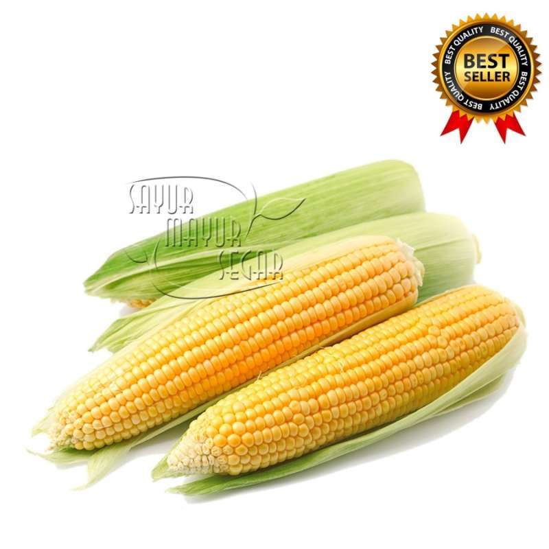 Jual Jagung Manis Kupas Fresh 1 Kg Murah Mei 2021 