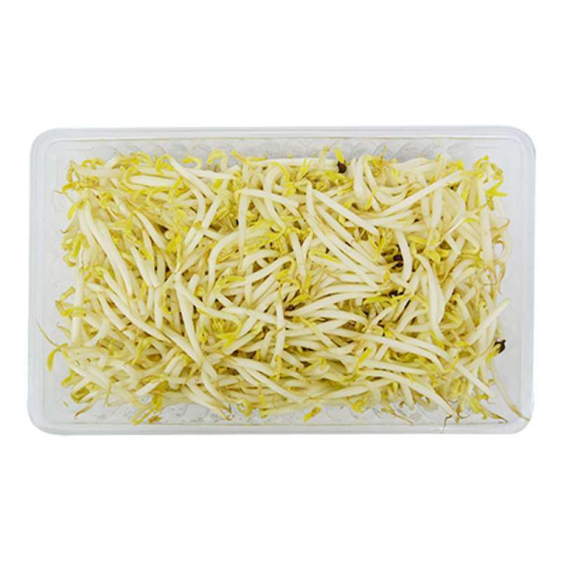 Jual Tauge Panjang Pack 200 Gr Terbaru November 2021 Harga Murah Kualitas Terjamin Blibli