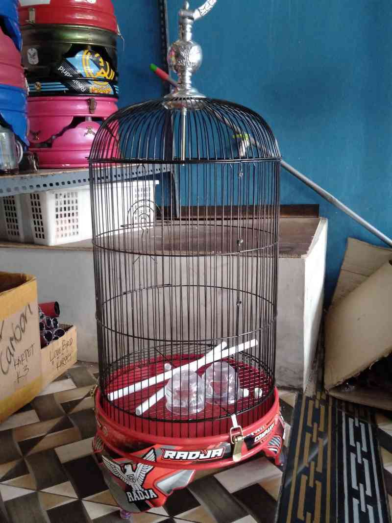 Jual Sangkar Burung Love Bird Besi Impor Merk Radja Tebok Pvc Murah Mei 2021 Blibli