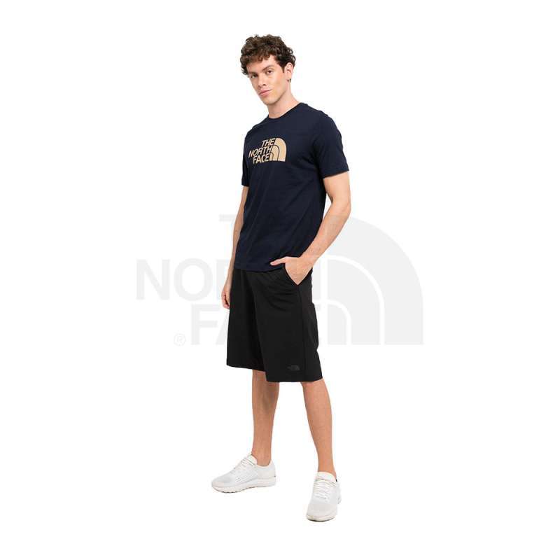 Jual The North Face Men Half Dome Tee 