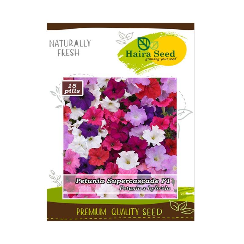 Jual Haira Seed Bunga Petunia Supercascade F1 Mixed Bibit Tanaman Terbaru November 2021 harga murah - kualitas terjamin - Blibli