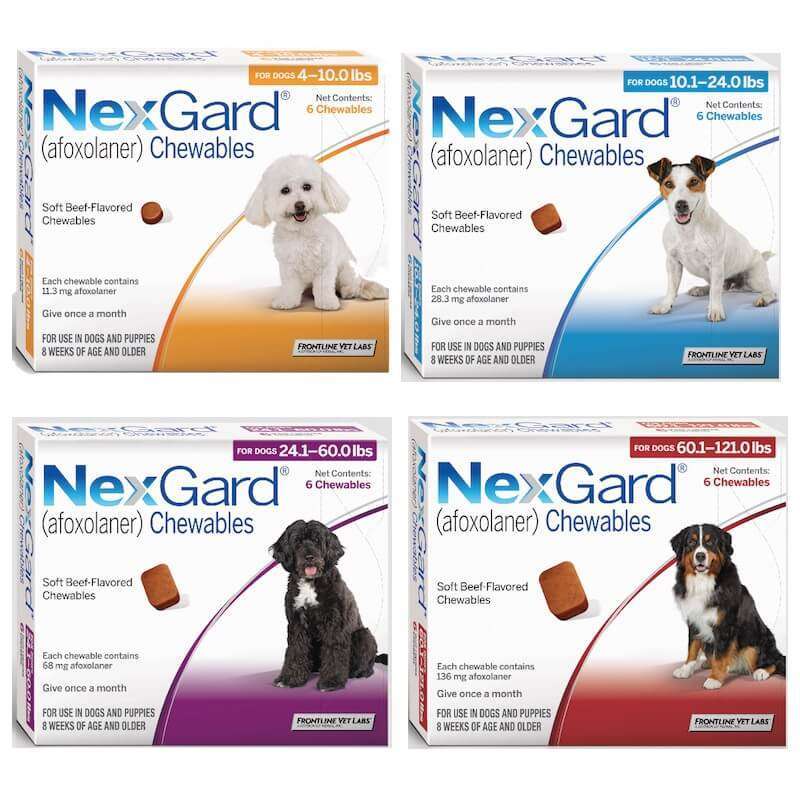Promo Nexgard Obat Kutu Anjing Dan Demodex All Variant (1 Pcs