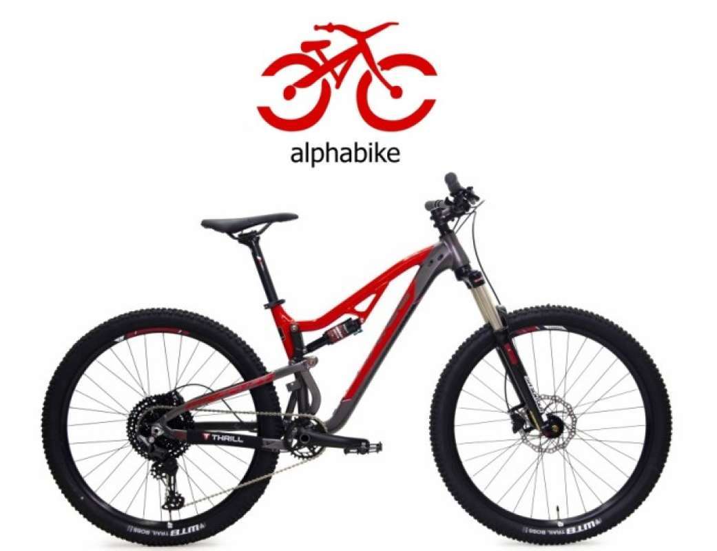 Frame ricochet t120 online