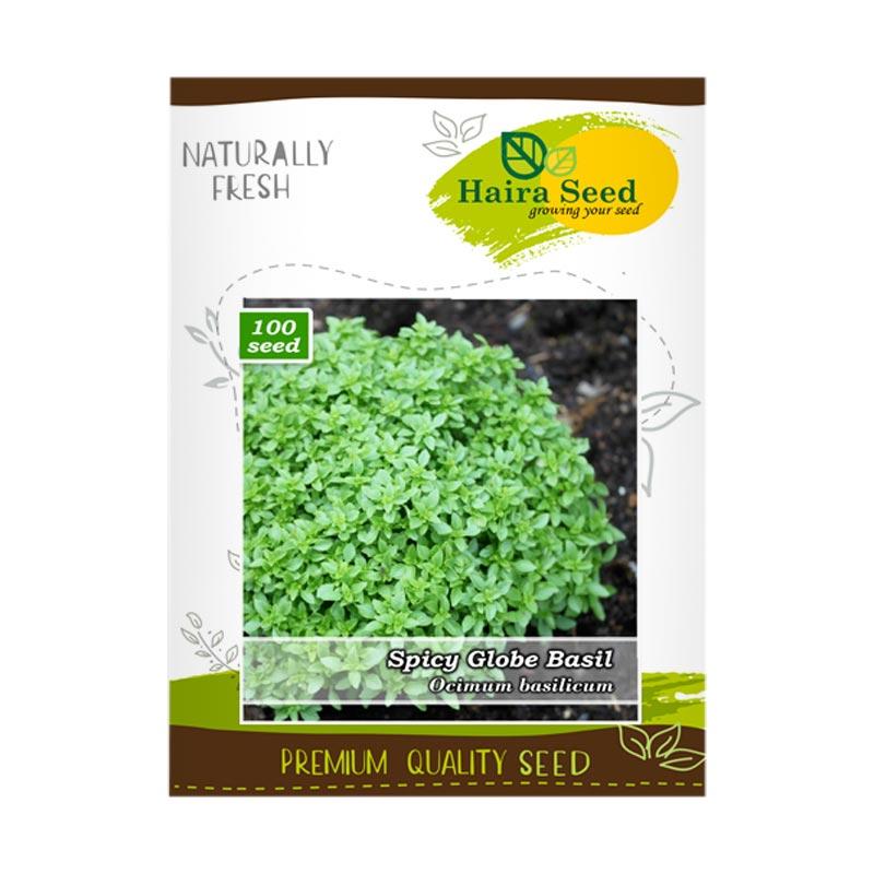 Jual Haira Seed Basil Spicy Globe Benih Bibit Tanaman Murah Juli