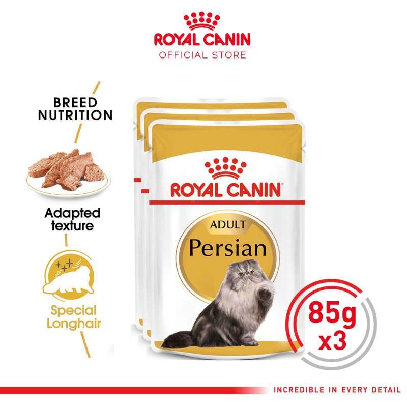 Royal canin persian wet food outlet