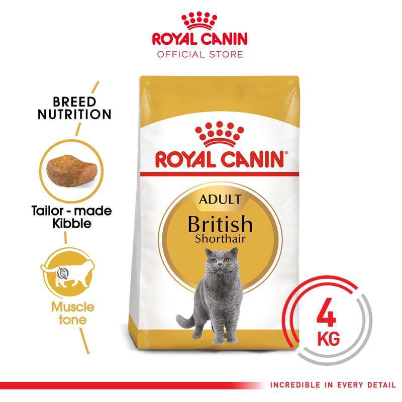Harga british clearance gold cat