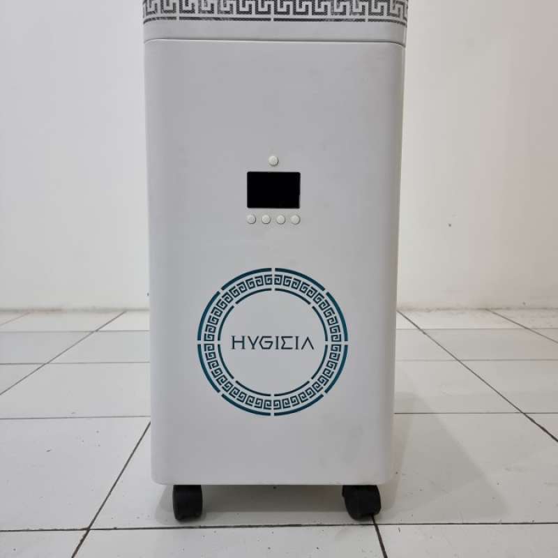 Air purifier online for hall