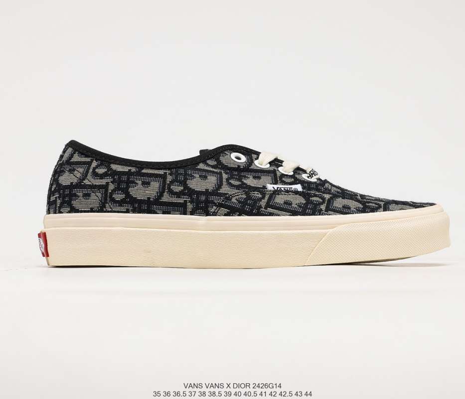 vans dior shoes
