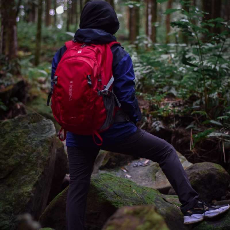 Promo Gratis Ongkir Daypack Consina T 