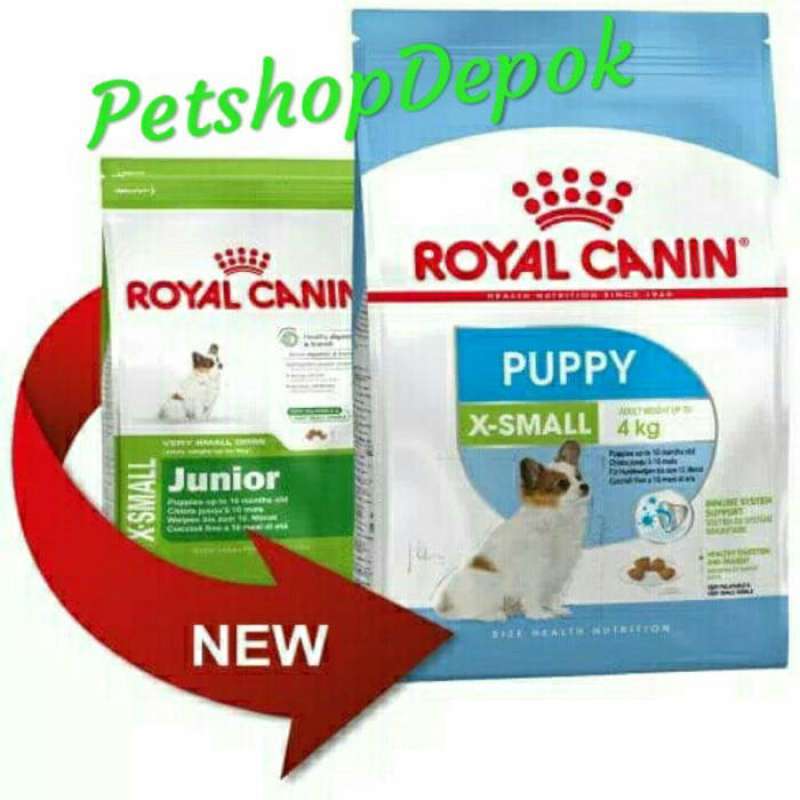 Royal x small junior online
