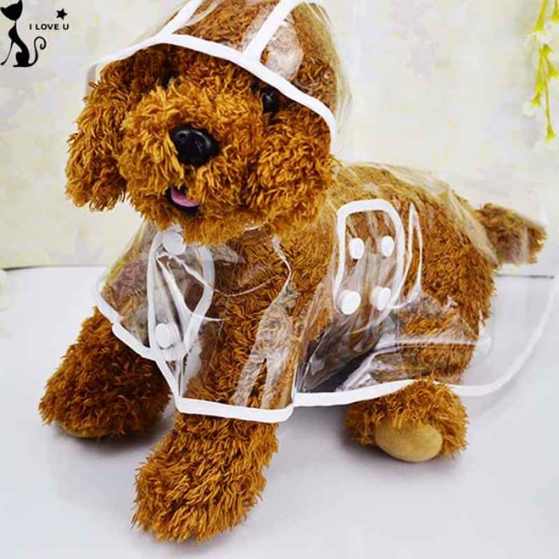 Jual Jas Hujan Anjing Doggy Kucing Online Maret 2021 Blibli Katalog harga produk jas hujan terlengkap februari 2021 di indonesia. jas hujan anjing doggy kucing