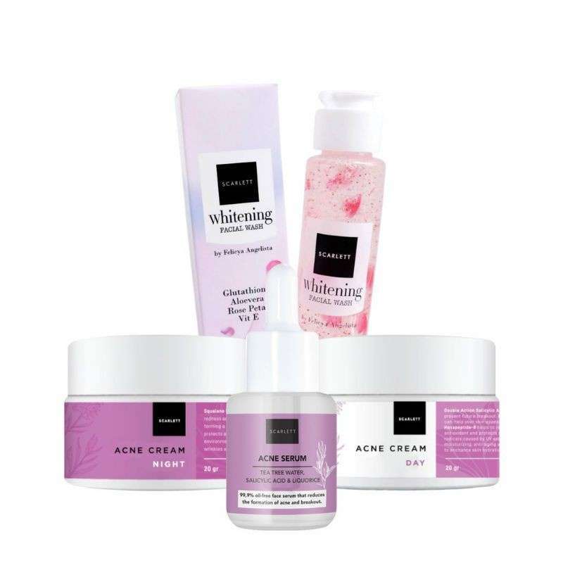 Promo Paket 4in1 Scarlett Acne Series - Facial Wash + Acne Serum + Paket Acne Scarlet