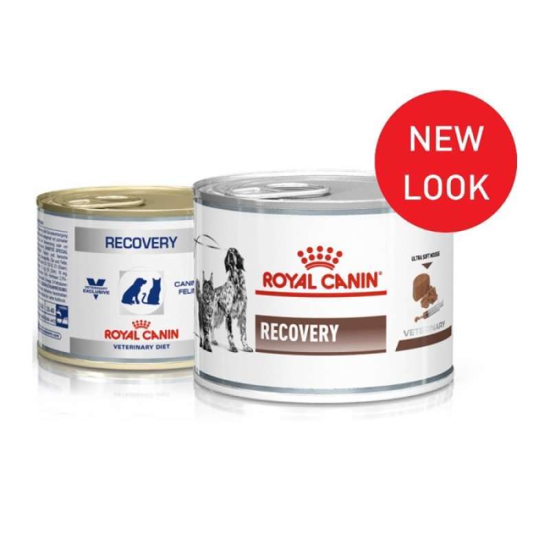 Royal canin on sale recovery harga