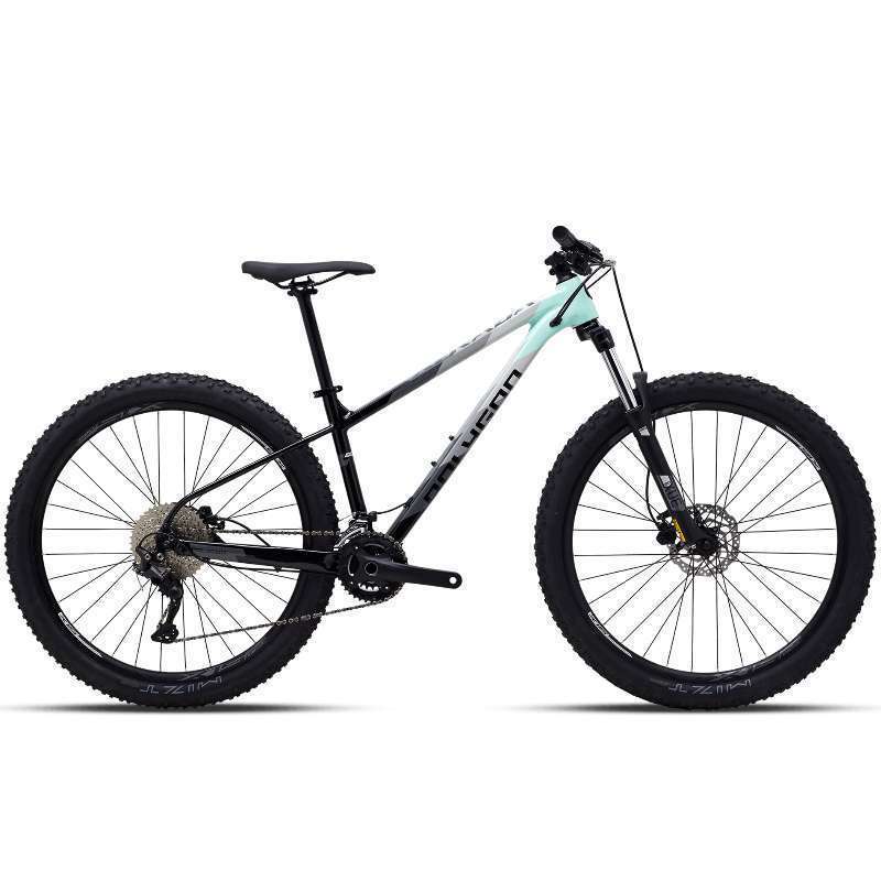 Polygon shop 29 inch