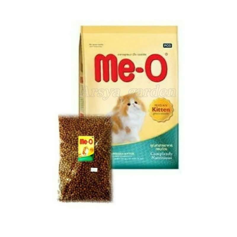 Meo persian kitten food online