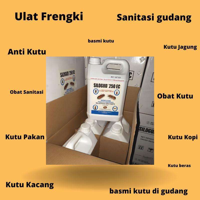 Chiroyli mushuk onanizm qiladi Lyubertsidagi intim shaxsiy elonlar