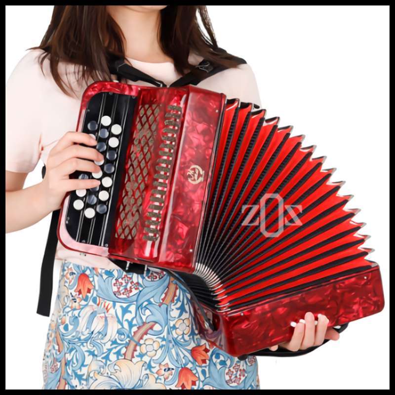 Harga accordion hohner sale