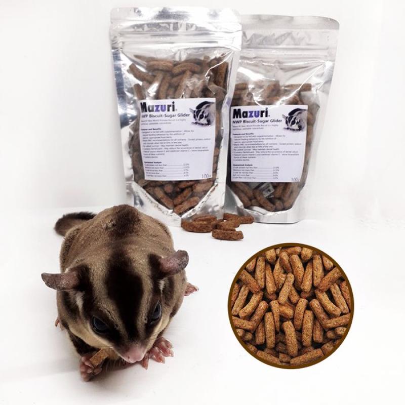 Mazuri top sugar glider