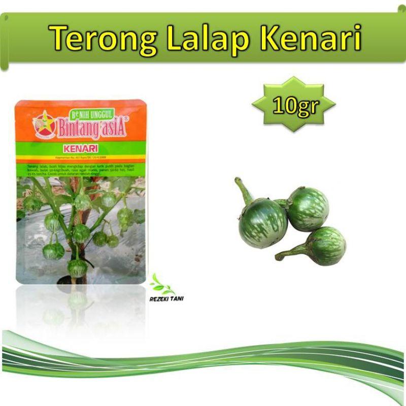 Jual Bintang Asia Terong Lalap Kenari Benih Bibit 10gr Online September 2020 Blibli Com
