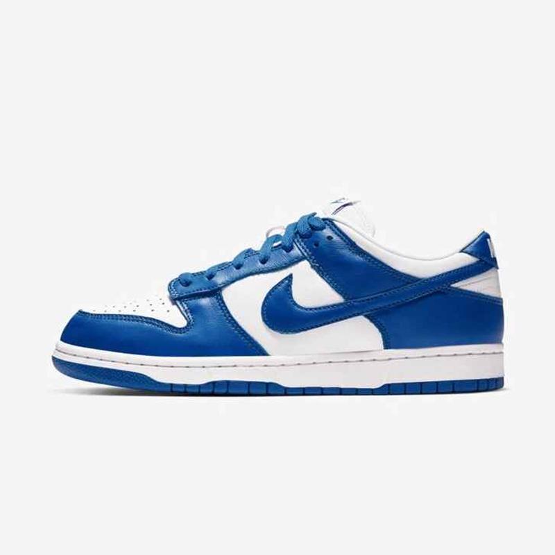 kentucky dunks shoes