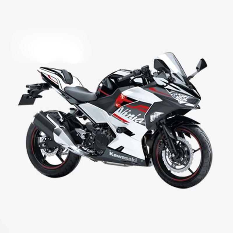 Ninja 250 f1 2020 hot sale