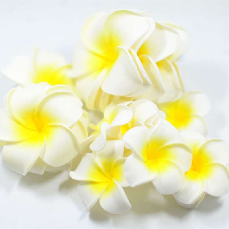 Jual OEM Foam Flower Plumeria Rubra Wedding Favors DIY Hair Accessories  Garland [20 pcs] di Seller Homyl - China | Blibli