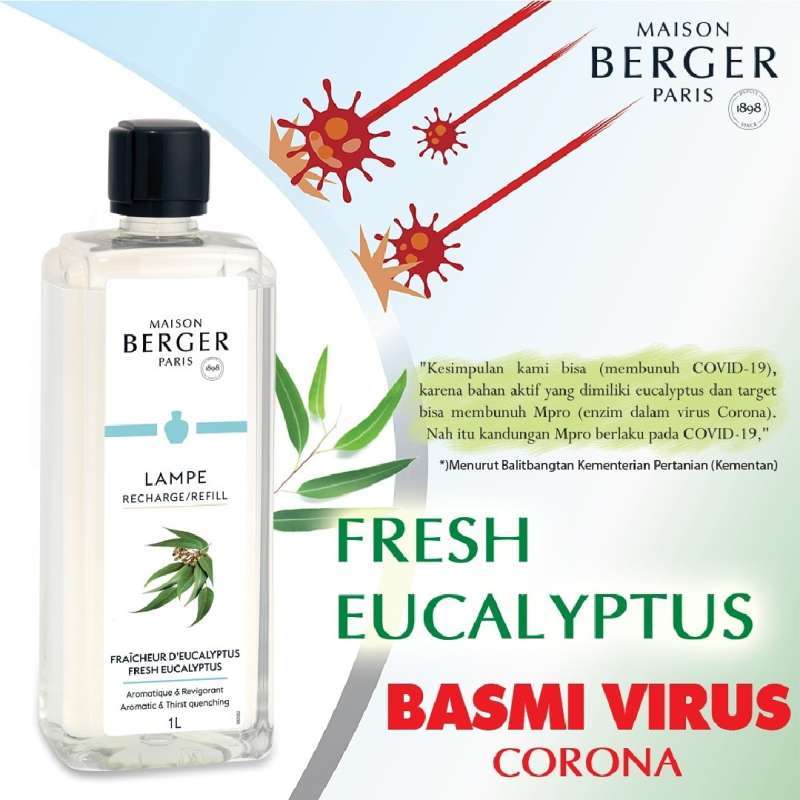 Lampe Berger Eucalyptus 1 Lt