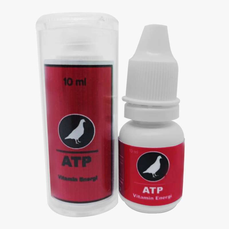 Jual Vitamin Merpati Atp Vitarest Doping Merpati Booster Merpati Multivitamin Obat Jamu Merpati Dara Anti Sakit Drop Vitatp Murah September 2020 Blibli Com