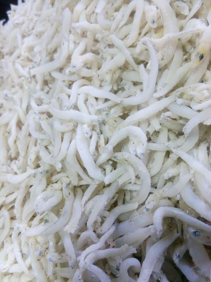 Jual Ikan Teri Medan Teri Nasi 1 2 Kg Online Oktober 2020 Blibli Com