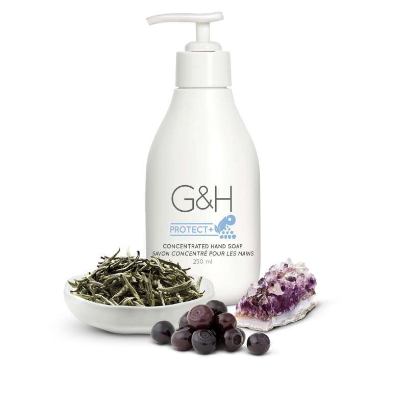 Jual G H Protect Amway Hand Soap Sabun Tangan Online November 2020 Blibli