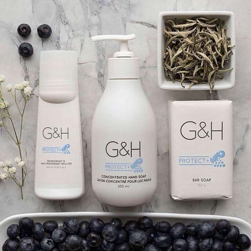 Jual G H Protect Amway Hand Soap Sabun Tangan Online November 2020 Blibli