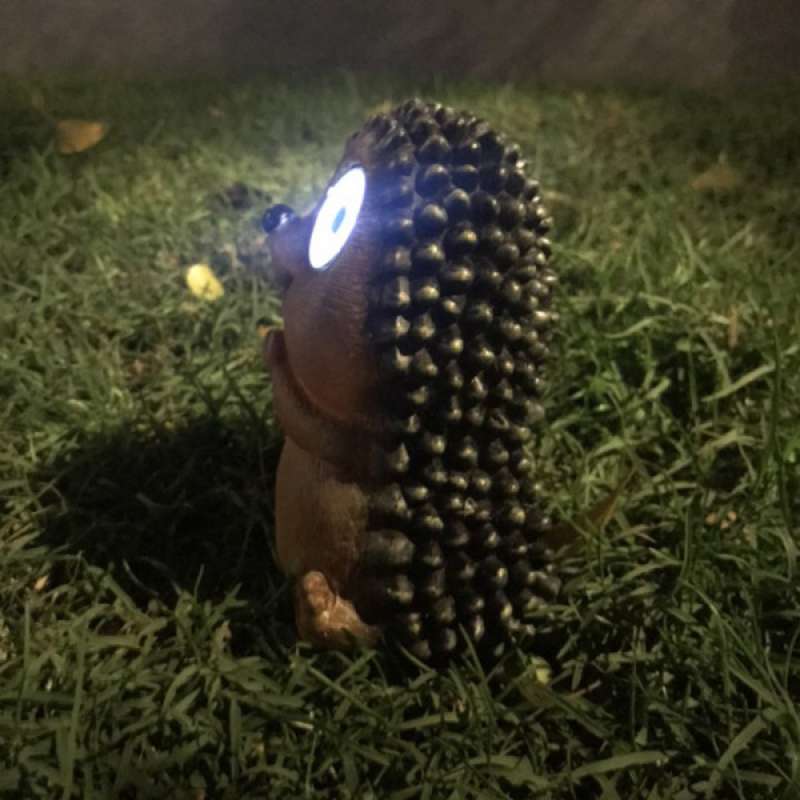 Jual Bright Eyes Solar Light Led Pet Animal Garden Ornaments Great Gift Hedgehog Online September 2020 Blibli Com