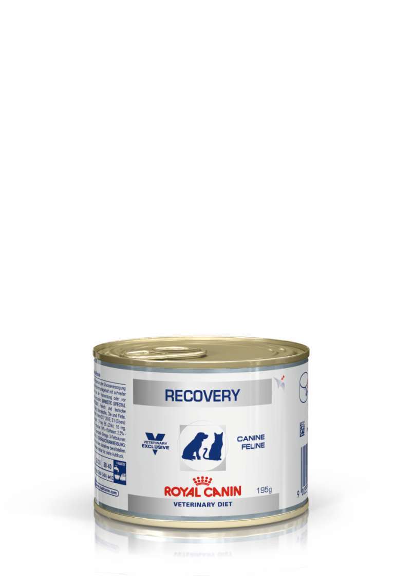 Jual Royal Canin Recovery Canned Untuk Anjing Kucing Harga