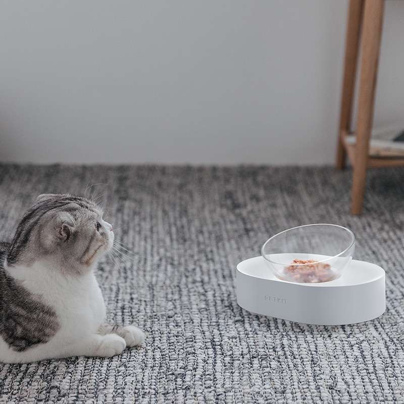 Jual Xiaomi Petkit Tempat Makan Hewan Peliharaan Kucing Anjing Feeding Dishes Double Bowl White Online Desember 2020 Blibli