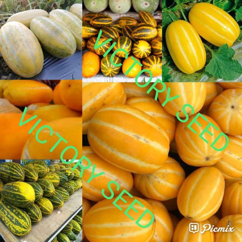 Katta kokrakli yosh ayol bilan porno onlayn