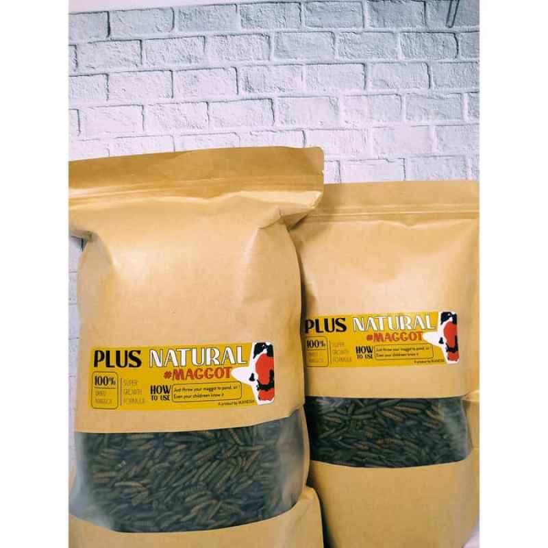 Jual Pakan Pelet Makanan Ikan Maggot Bsf 1 Kg Untuk Badan Bulky Dan Warna Putih Koi Cheribon Id Online Desember 2020 Blibli