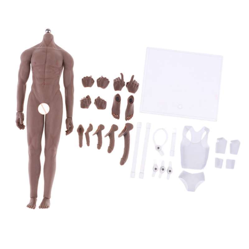 1:6 Male Action Figure Muscular Body Model Toys for Hot Toys TTM18 TTM19 