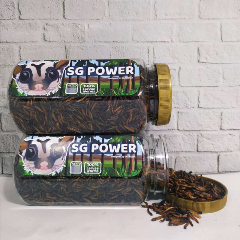 Jual Pakan Makanan Sugar Glider Sg Power Ulat Ulet Hongkong Kering Ikanesia Big Size Online November 2020 Blibli