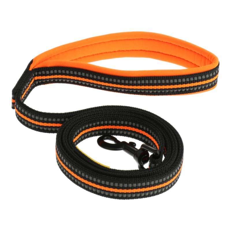 Leash dog training Clearance