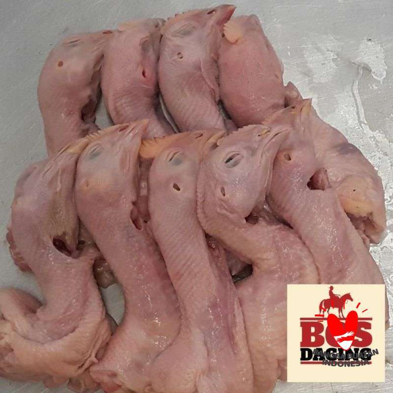 850 Koleksi Gambar Burung Kepala Ayam HD