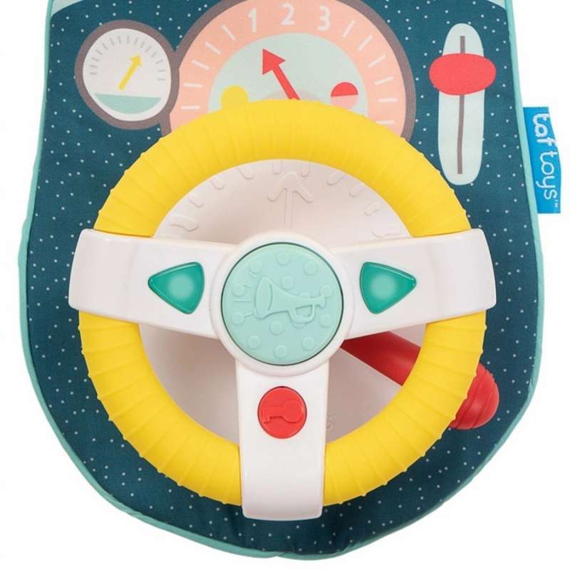 taf toys car seat toy
