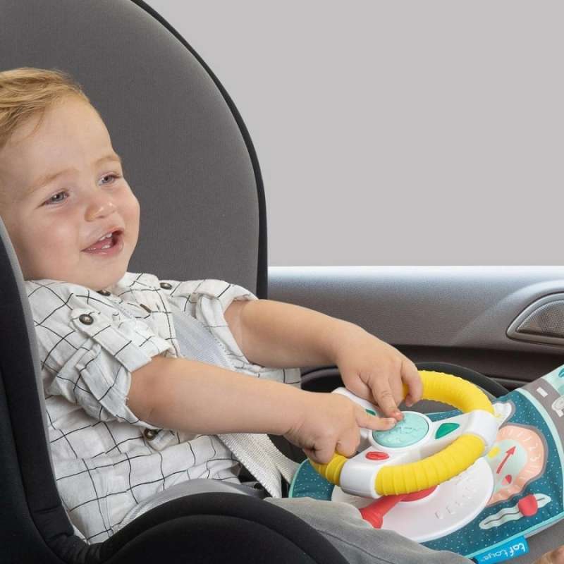 taf toys car seat toy