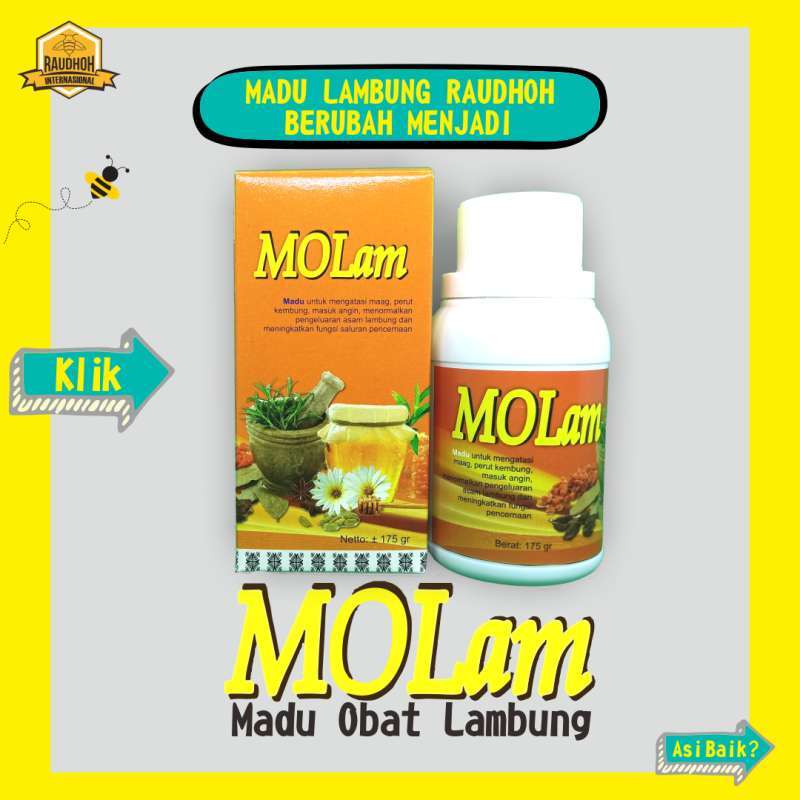Molam Madu Obat Lambung Raudhoh Obat Herbal Spesialis Ampuh Maag Kronis Asam Lambung Gerd Tukak Terbaru Agustus 2021 Harga Murah Kualitas Terjamin Blibli