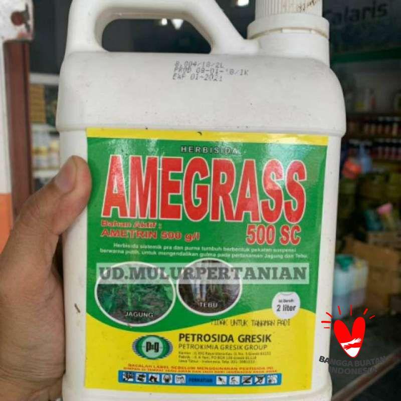 Jual Herbisida AMEGRASS 500 SC dari Petrosida Gresik isi 2 ...