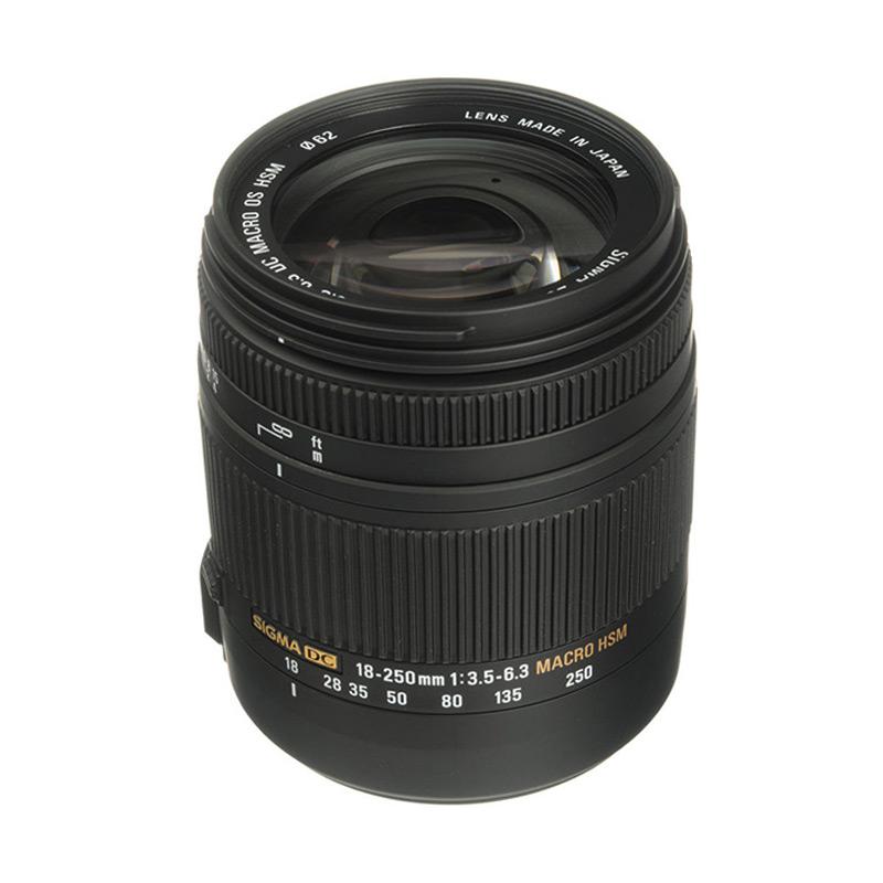sigma 18 250mm f 3 5 6 3 dc macro os hsm lensa kamera for sony