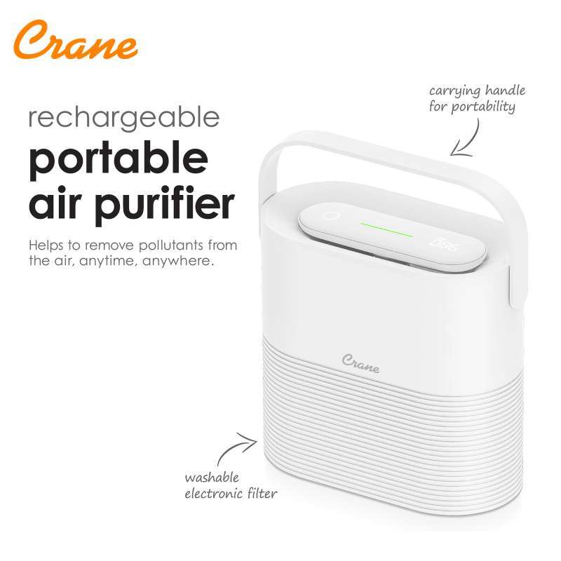 Portable purifier hotsell