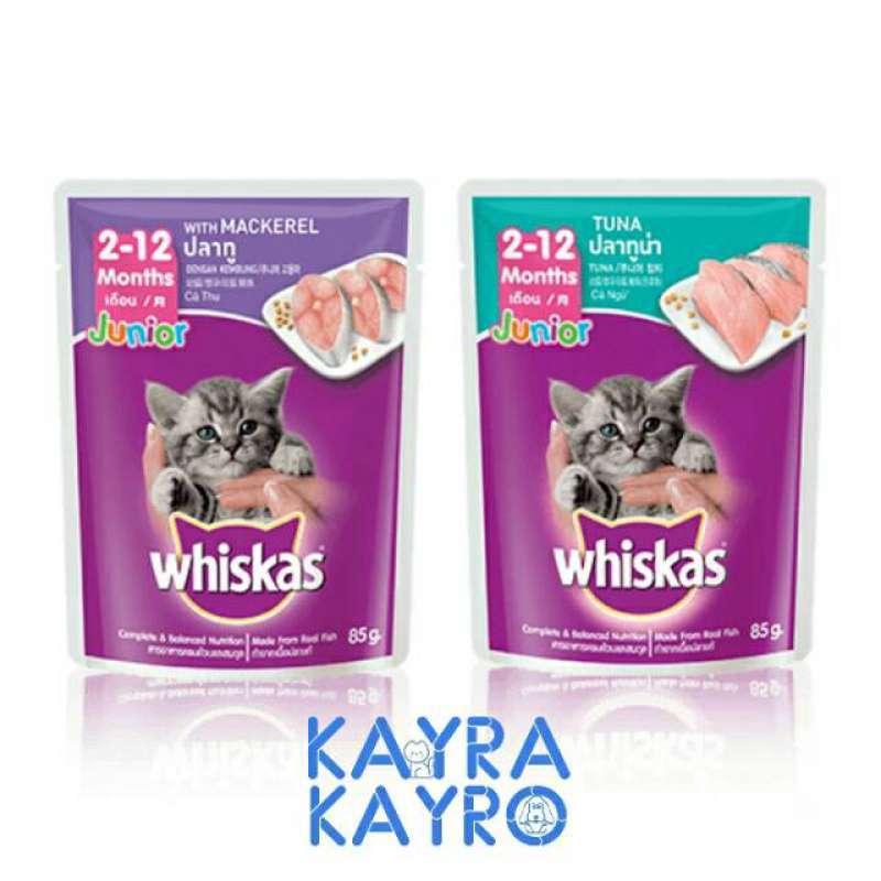 Snack untuk kitten cheap