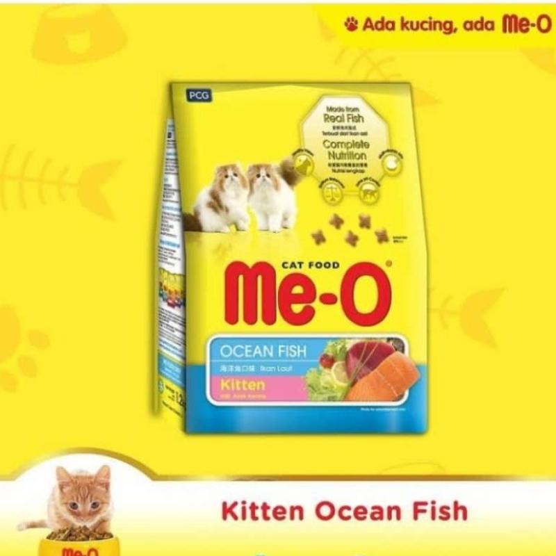 Meo ocean fish kitten hot sale