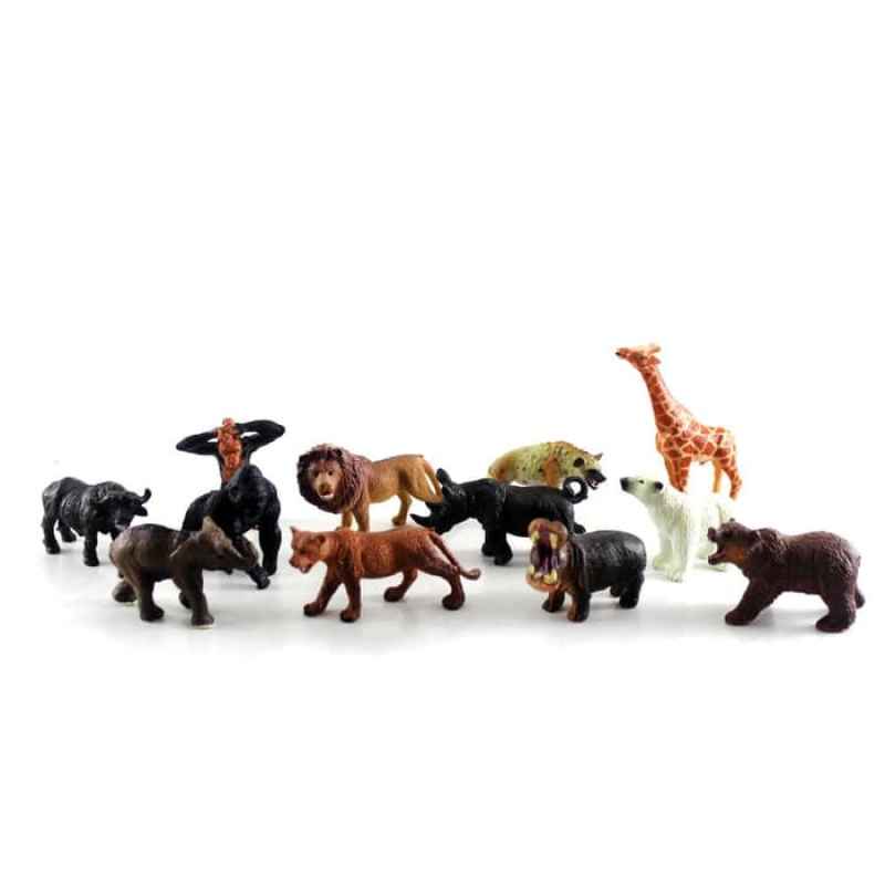 animal world